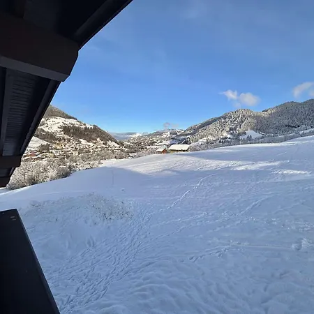 Apartment 2 Pieces A Sur Arly, Parking, Proche Pistes, Pour 5 Personnes - Fr-1-603-68 Praz-sur-Arly